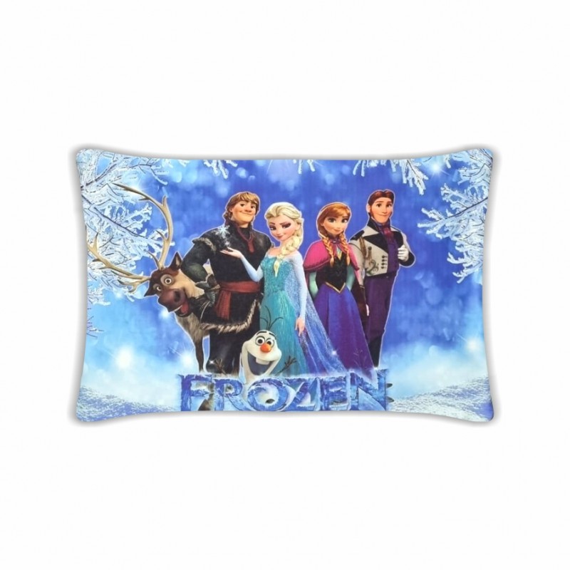 FROZEN PILLOW