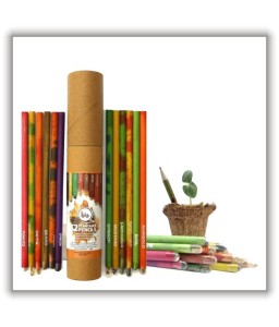 BIO SEED PENCILS (5PC.)