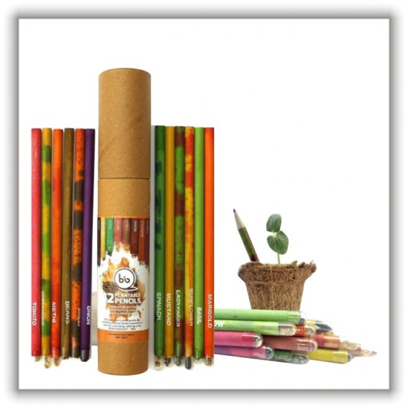 BIO SEED PENCILS (12PC.)